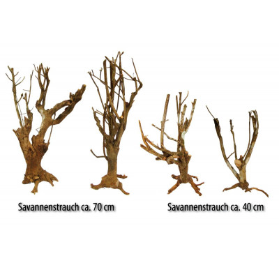 Buisson branche "Savannah bush" de Lucky reptile