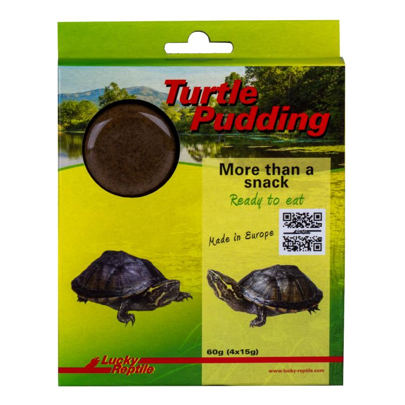 KGDUYC 2 Pièces Nourriture pour Abreuvoir Tortue Plat de Reptile-Gamelle  d'eau pour Tortue en Forme de Feuille pour Petits Animaux Domestiques  Reptile Tortue Lézard Serpents : : Animalerie