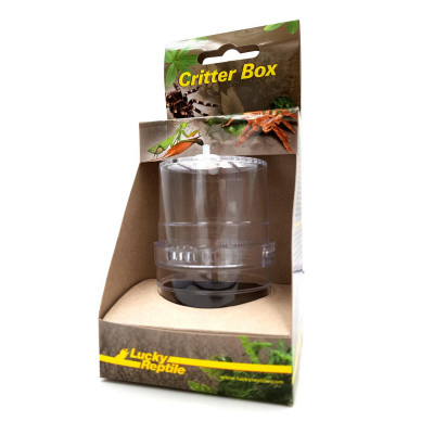 Critter box insect