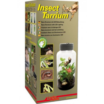 Insect Tarrium LED