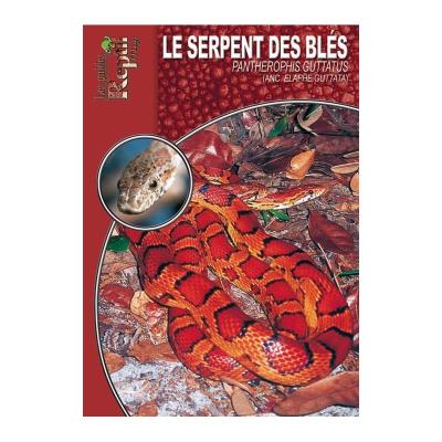 Le serpent des blés - Pantherophis guttatus - Les guides Reptilmag