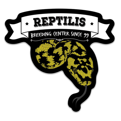 Sticker Logo Reptilis
