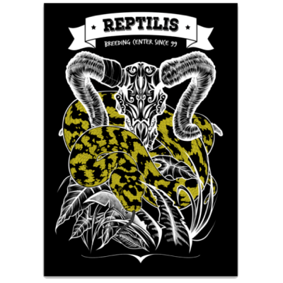 Sticker Morelia s. cheynei & Crâne de bouc gravé Reptilis
