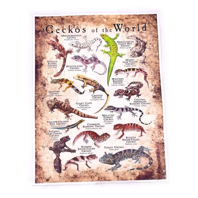 Impression sur toile vintage "Geckos du monde"