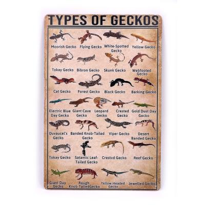 Panneau métal vintage "Types de geckos"