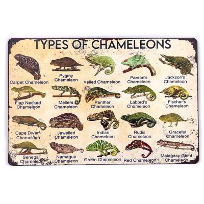 Panneau métal vintage "Types de caméléons"