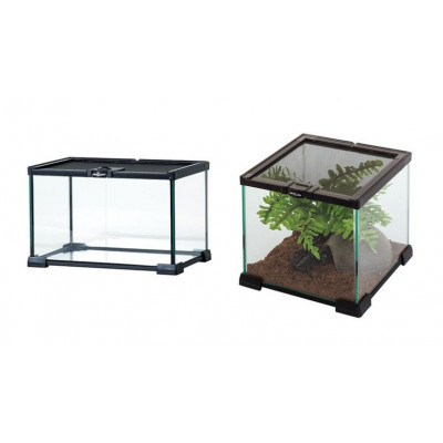 Terrariums en verre petites tailles "Mini glass" de Reptizoo