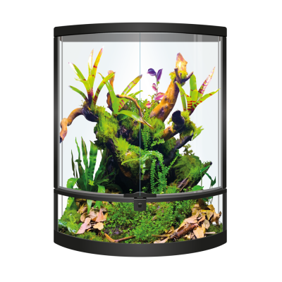 Terrariums en verre "Repto Terra Half moon"