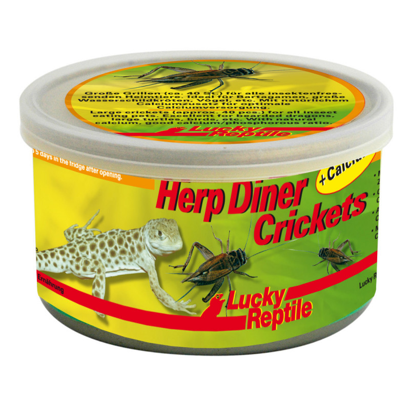 Grillons en conserve Herp diner bamboo worms de Lucky reptile - Reptilis