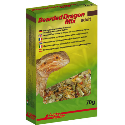 Peahefy Bassin de nourriture pour reptiles Bassin de nourriture de