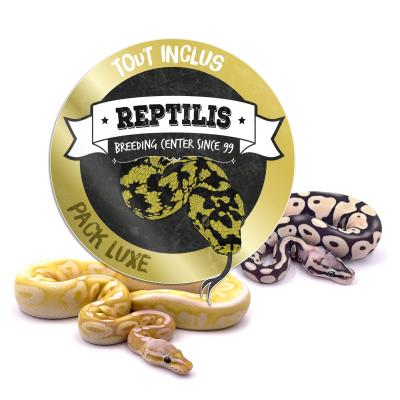 PACK LUXE - Python regius