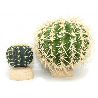 Cactus oursin pour terrarium désertique Exo Terra