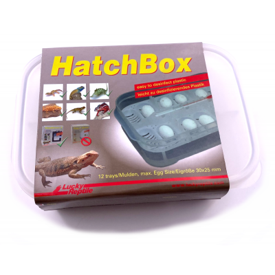 Boite d'incubation Hatchbox Lucky reptile