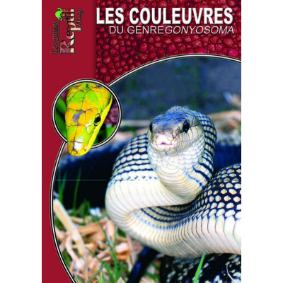 Les couleuvres du genre Gonyosoma - Les guides Reptilmag