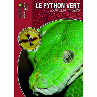 Le python vert - Morelia viridis - Les guides Reptilmag