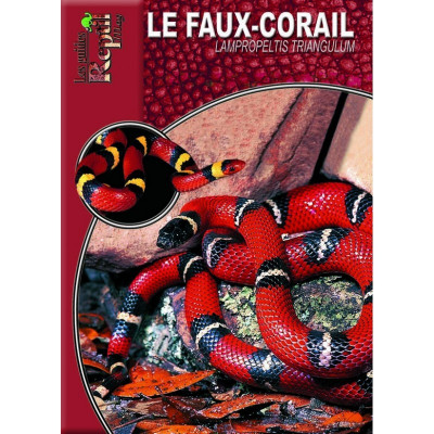 Le faux-corail - Lampropeltis triangulum - Les guides Reptilmag
