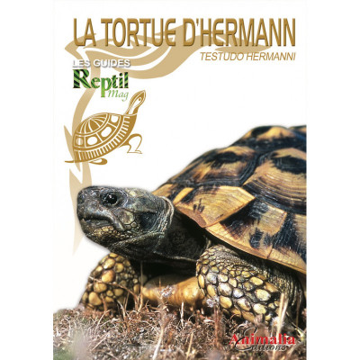 La tortue d'Hermann - Testudo hermanni - Les guides Reptilmag
