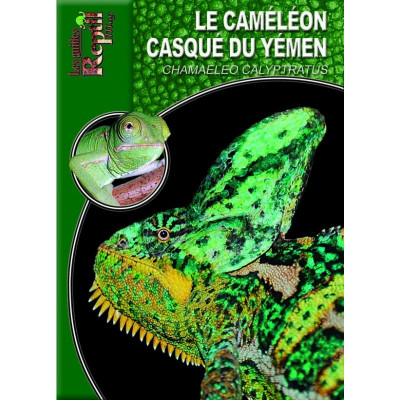 Le caméléon casqué du Yemen - Chamaeleo calyptratus - Les guides Reptilmag