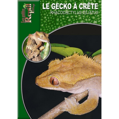 Le gecko à crête - Rhacodactylus ciliatus - Les guides Reptilmag