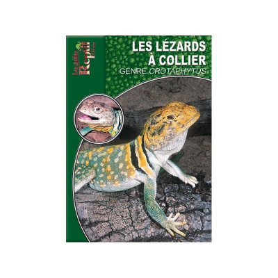 Le lézard à collier - Crotaphytus collaris - Les guides Reptilmag