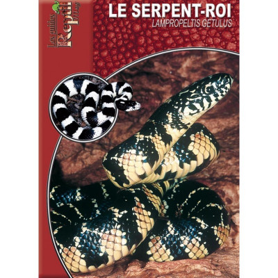 Le serpent roi - Lampropeltis getulus - Les guides Reptilmag