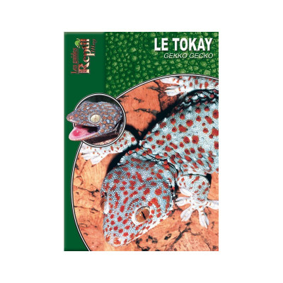 Le Tokay - Gekko gecko - Les guides Reptilmag