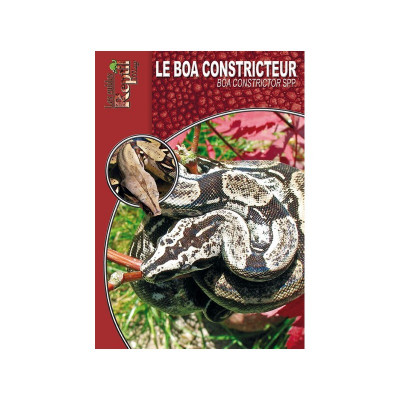 Le boa constricteur - Boa constrictor - Les guides Reptilmag