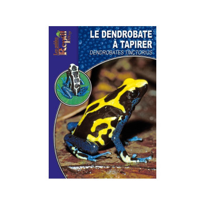 La dendrobate à tapirer - Dendrobates tinctorius - Les guides Reptilmag
