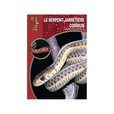 Le serpent jarretière commun - Thamnophis sirtalis - Les guides Reptilmag
