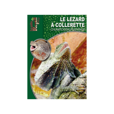 Le lézard à collerette - Chlamydosaurus kingii - Les guides Reptilmag