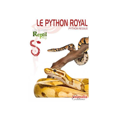 Le python royal - Python regius - Les guides Reptilmag