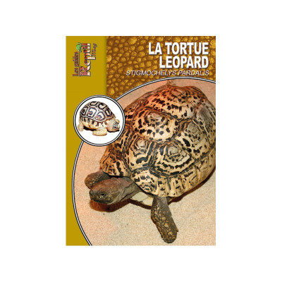 La tortue léopard - Stigmochelys pardalis - Les guides Reptilmag