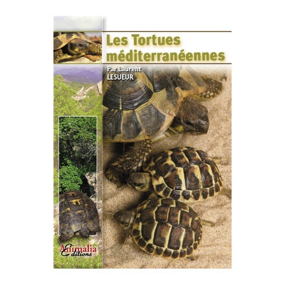 Les tortues méditerranéennes