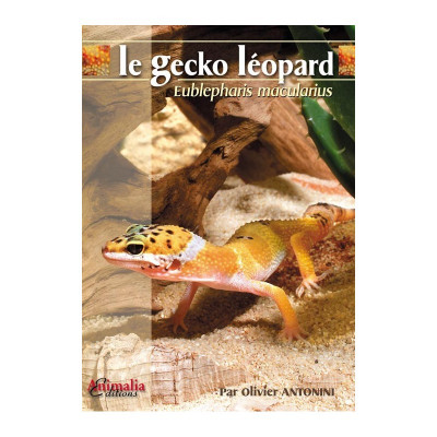 Le gecko léopard - Eublepharis macularius
