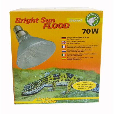 Bright Sun UV Flood Desert de Lucky reptile