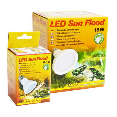 LED Sun Flood de Lucky reptile