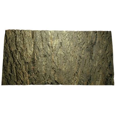 Plaque de liège naturel 'Cork background" de Lucky reptile