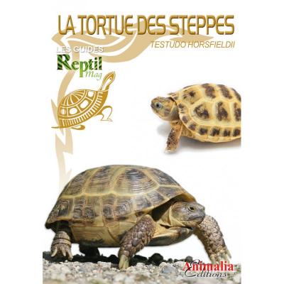 La tortue des steppes - Testudo horsfieldii - Les guides Reptilmag