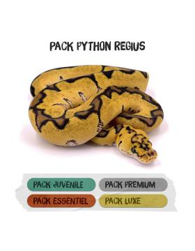 Packs Terrariums pour Python regius - REPTILIS