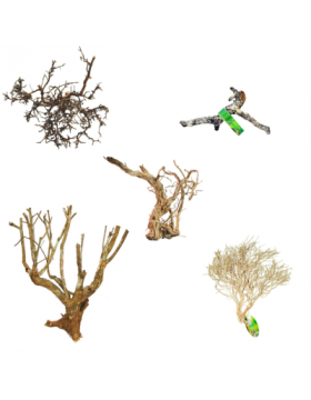 Racines, branches, souches, lianes - Reptilis