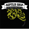 Reptilis