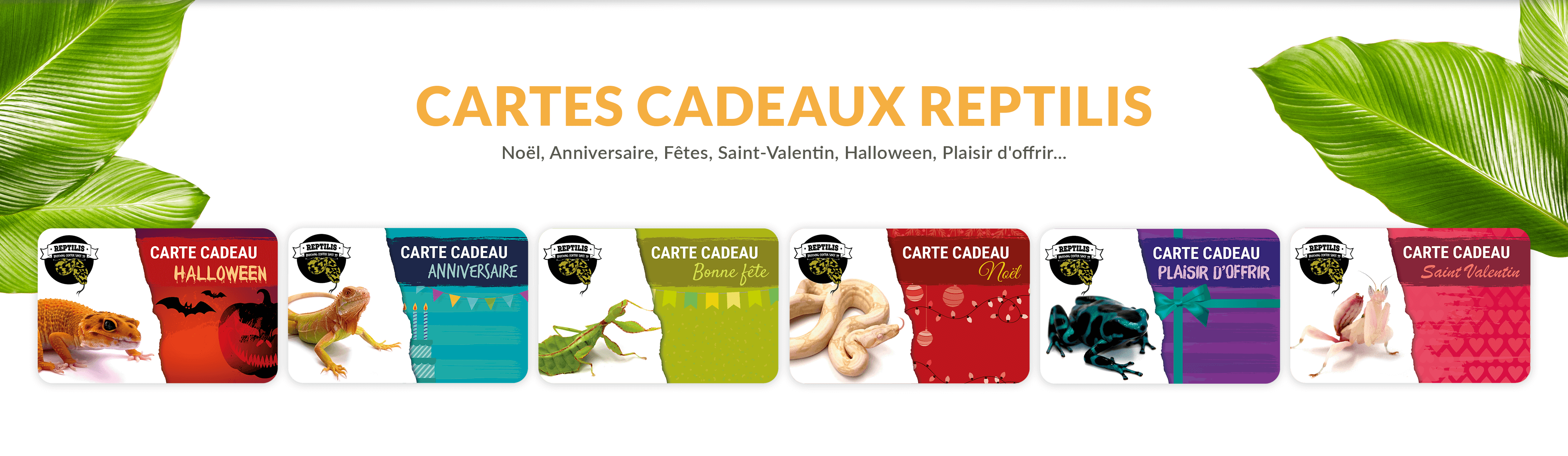 banière carte cadeau