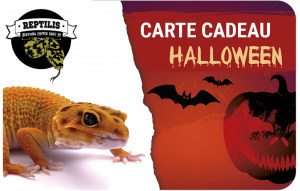 
			                        			halloween lézard