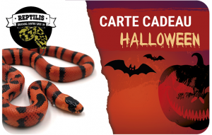 
			                        			halloween serpent