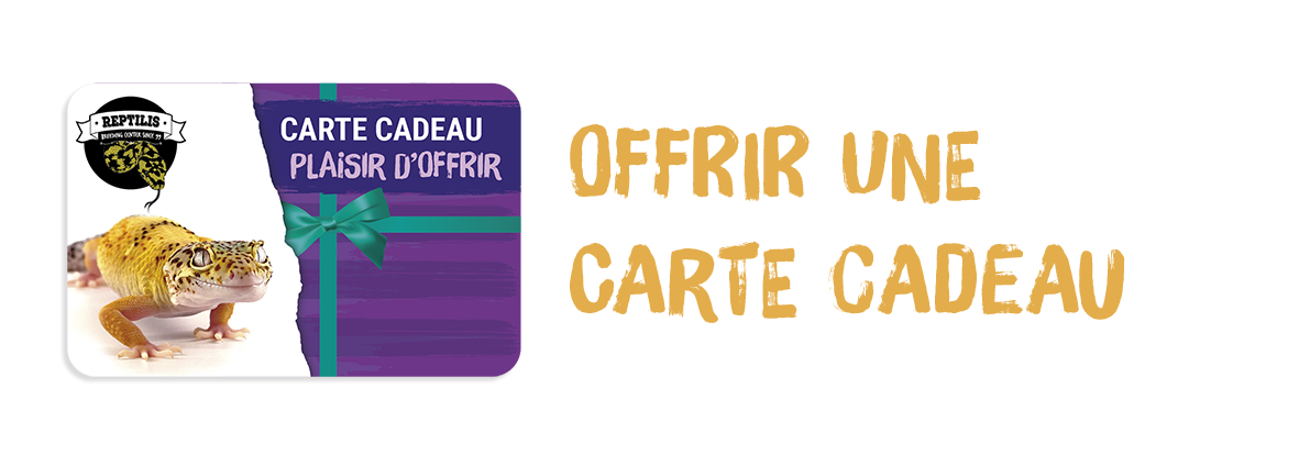 cartes cadeaux