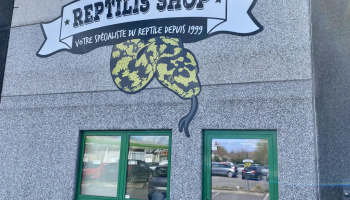 Reptilis Shop, enfin l'ouvertuuuure !!!